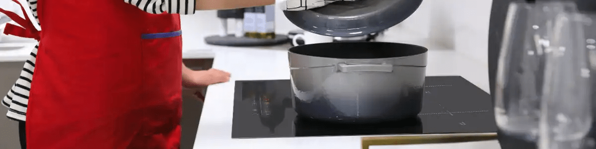 Induction Cooktop - Gaslandchef